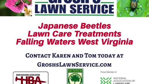 Japanese Beetles Falling Waters West Virginia Lawn Care Treatments