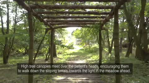 Forest Garden for Nacadia Therapy | Nature-Design Triennial