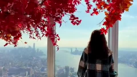 Fall has arrived 1,100 feet above NYC