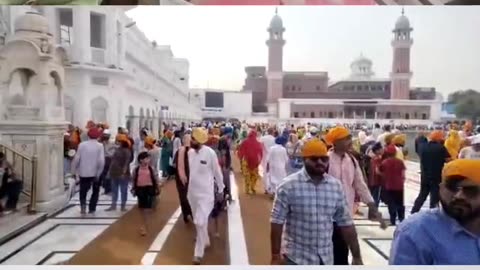 Langar/chabeel of chiled sweet water at golden temple