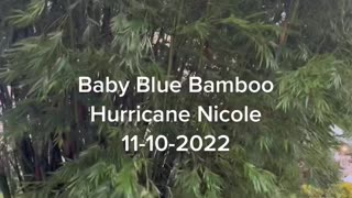 Hurricane Nicole 11-10-2022