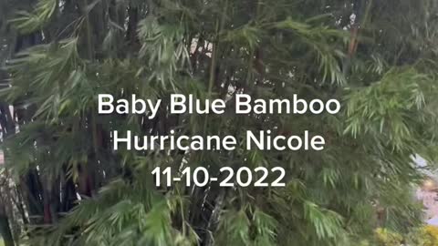 Hurricane Nicole 11-10-2022