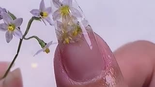 Nail perfect