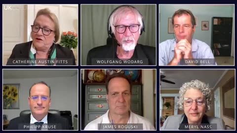 'EXPOSING THE GLOBALIST W.H.O. SCHEME' DISCUSSION PANEL WITH CATHERINE AUSTIN FITTS