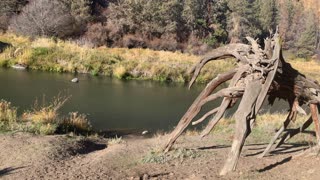 Hiking Between Canyon Walls Back to River Shore – Smith Rock State Park – Central Oregon – 4K