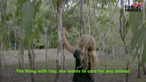 Little Girl Is An Expert Koala Rescuer | Dodo Heroes Season 1