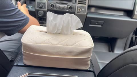 Keep Your Tissues Handy and Your Car Organized with This Stylish Holder!