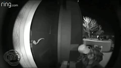 Package Thieves Fails Caught On Camera