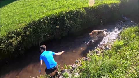 A cute dog who loves to play with his owner