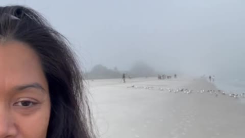 Foggy morning in the beach