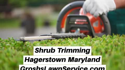Shrub Trimming Hagerstown Maryland Landscaper The Best