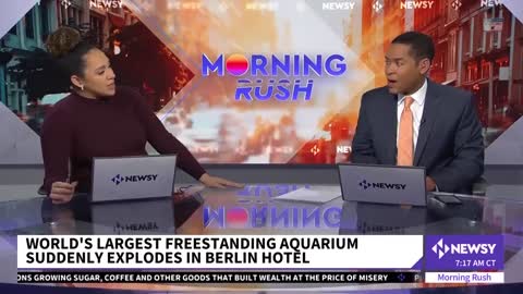 Huge Berlin Aquarium Bursts, Unleashing Flood Of Devastation