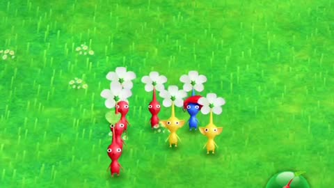 MEUS PIKMIN BLOOM