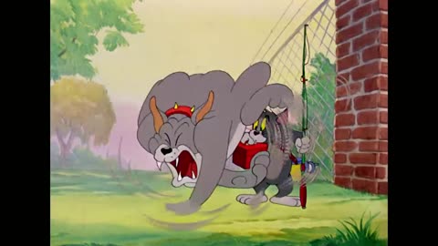 Tom & Jerry cartoon