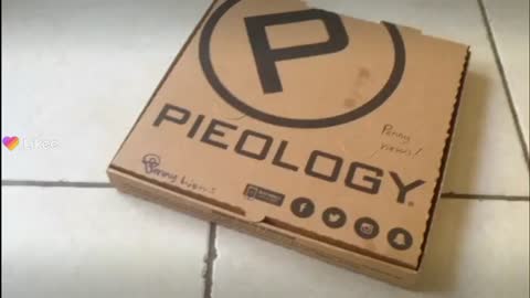 Pieology packaging that is truly innovative unbiased unsponsored unscripted #reviews