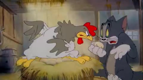 Tom and Jerry Cartoon Full episode.All About Movies.