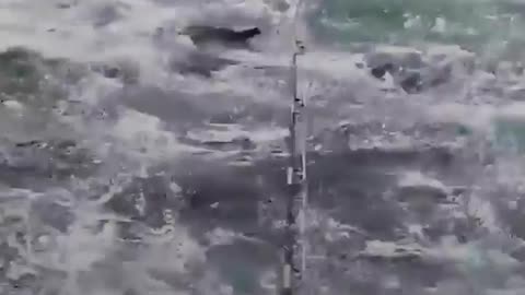 SHOCKING Hundreds of Dolphins surround boat