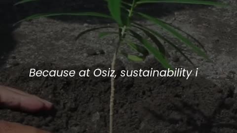 Osiz : A Digital Solutions Provider Building Sustainable Future