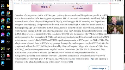 MEGA BOMBS! Deadly GMO Parasites are the mRNA Vectors: Patent Review with Dr. Young & Dr. Love