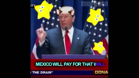 Funniest Donald Trump Vines - Best Video by clip of funny videos