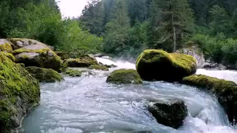 Beautiful stream runs