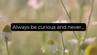 Always be curious and never