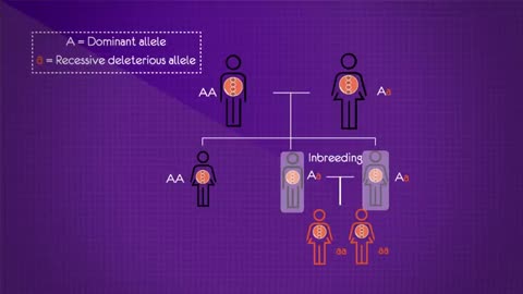 Selective Breeding | Evolution | Biology | FuseSchool