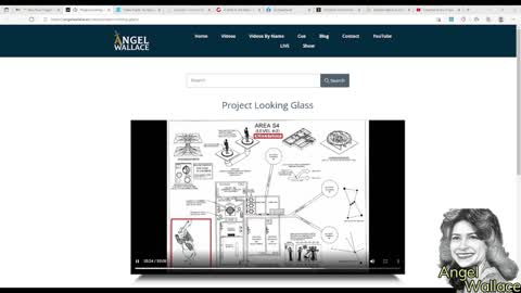 PROJECT LOOKING GLASS