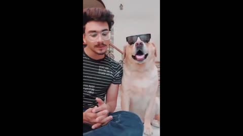 Moye Moye+#trendimg song-#latest funny dog videos