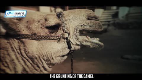 Story of PROPHET's CAMEL 🐪will Amaze you. True story