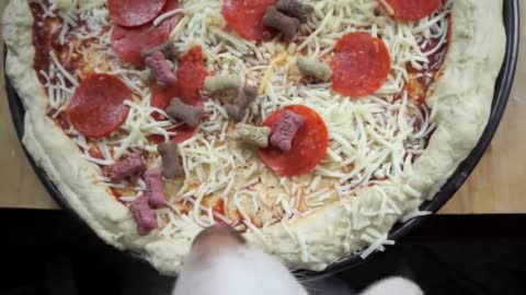 Dog Makes Pizza_ Cute Dog Maymo