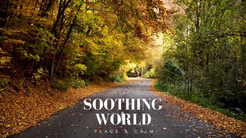 "Soothing World: A Journey to Inner Peace and Calm"