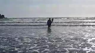 Piha Beach New Zealand Auckland Must Visit