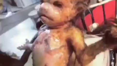 Reptilian/Human Hybrid baby ??