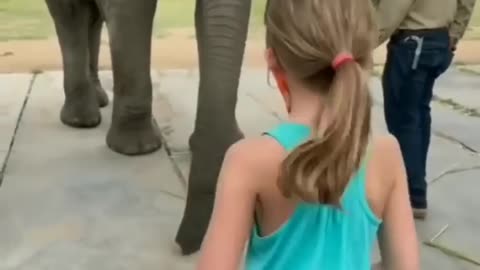 Elephant imitating the girl’s dance