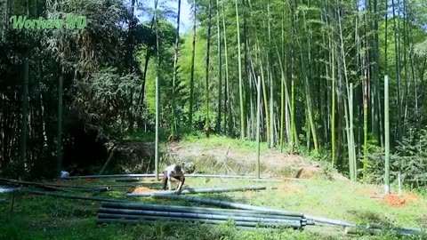 bamboo house