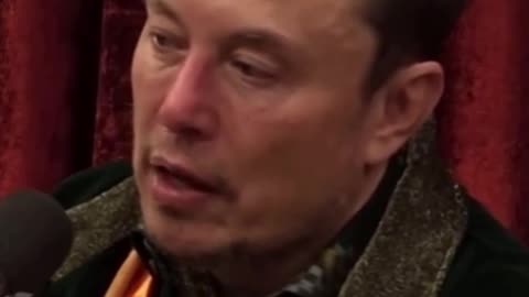Elon musk talks on Taliban!