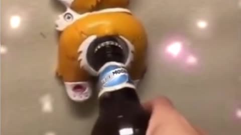 Unusual bottle opening for dogs