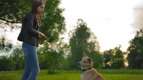 Woman throwing food to her dog, a puppy catches it on the fly. Middle shot. Middle shot