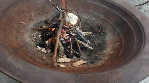 Florida summer smores 2