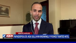 Papadopoulos: NSA Sullivan knowingly pushed tainted intelligence