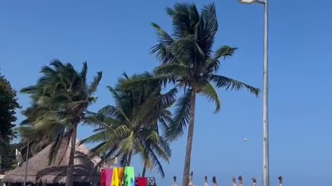 At The Beach In Playa Del Carmen