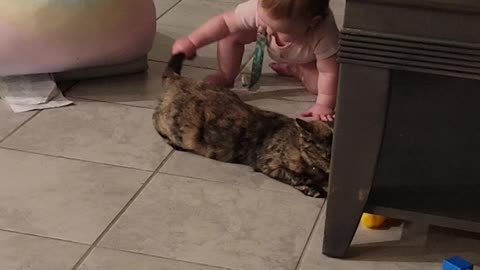 Pulling her sisters cats tail