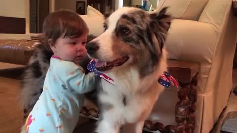 Cute babies playing with dogs compilation