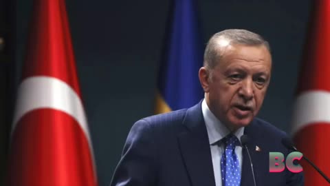 Turkey’s Erdogan calls Israeli response ‘massacre’