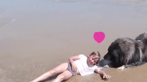 Dog Decides to Rescue Girl Playing in Ocean