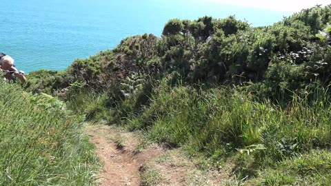 Whistand Bay Walk Rame Head Cornwall England