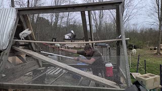 FLOCK IT FARM: super slo mo catching pigeons