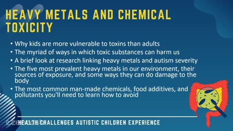 46 of 63 - Heavy Metals and Chemical Toxicity - Health Challenges Autistic Children Experience
