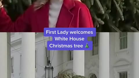 First Lady welcomesWhite HouseChristmas tree